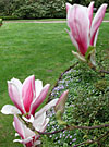 dscn1037233.jpg
