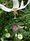 dscn1037239.jpg