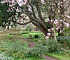 dscn1037240.jpg