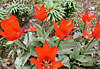 dscn1037242.jpg