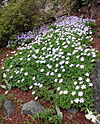 dscn1037244.jpg