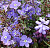dscn1037245.jpg