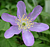 dscn1037254.jpg