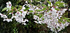 dscn1037255.jpg