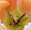 dscn1037257.jpg