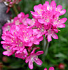 dscn1037264.jpg