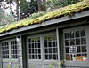 dscn1037268.jpg
