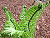 dscn1037269.jpg