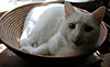 dscn1037273.jpg