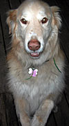 dscn1037290.jpg