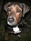 dscn1037294.jpg