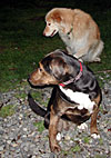 dscn1037296.jpg
