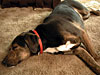 dscn1037310.jpg