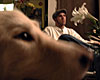 dscn1037336.jpg