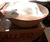 dscn1037358.jpg