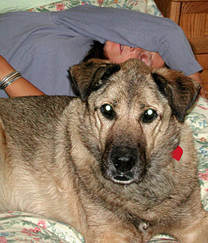 dscn1035842.jpg