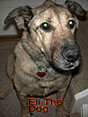 dscn1035775-Eli.jpg
