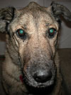 dscn1035777.jpg