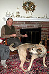 dscn1035799.jpg