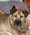 dscn1035842.jpg