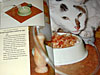 dscn1035900.jpg