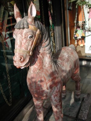 dscn008137.jpg
