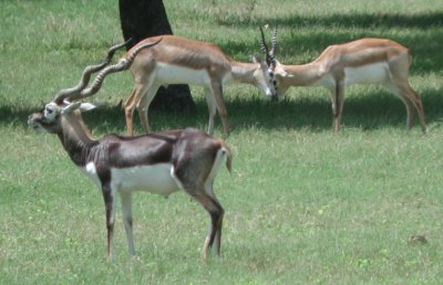 dscn008174.jpg