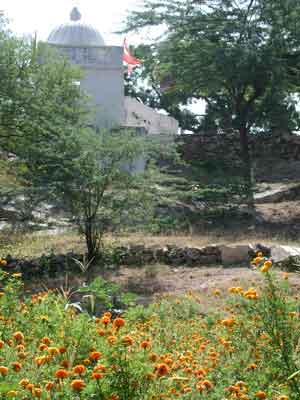 dscn010044.jpg