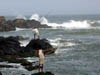 dscn006794.jpg