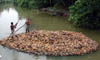 dscn006983.jpg