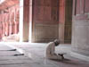 dscn008005.jpg
