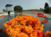 dscn008033.jpg