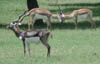 dscn008174.jpg