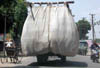 dscn008541.jpg