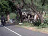 dscn008581.jpg
