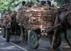 dscn008582.jpg