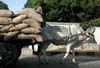 dscn008598.jpg