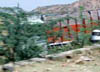 dscn010065.jpg