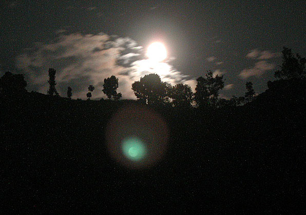 1030041.jpg