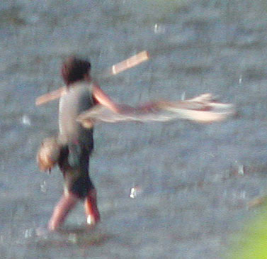 1030198.jpg