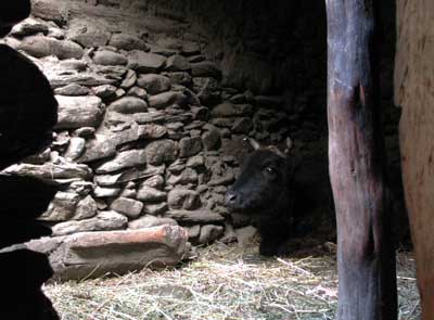 DSCN010662.jpg