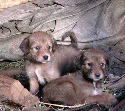 DSCN010806.jpg