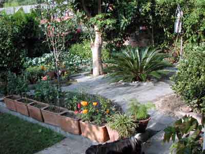 dscn010015.jpg