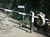 1030165.jpg