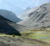 DSCN010614.jpg