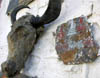 DSCN010646.jpg