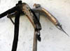 DSCN010647.jpg