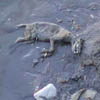 DSCN010657.jpg