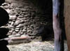 DSCN010662.jpg
