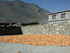 DSCN010706.jpg